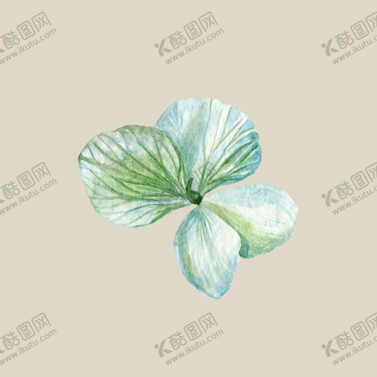 编号：43740710230604315790【酷图网】源文件下载-水彩植物