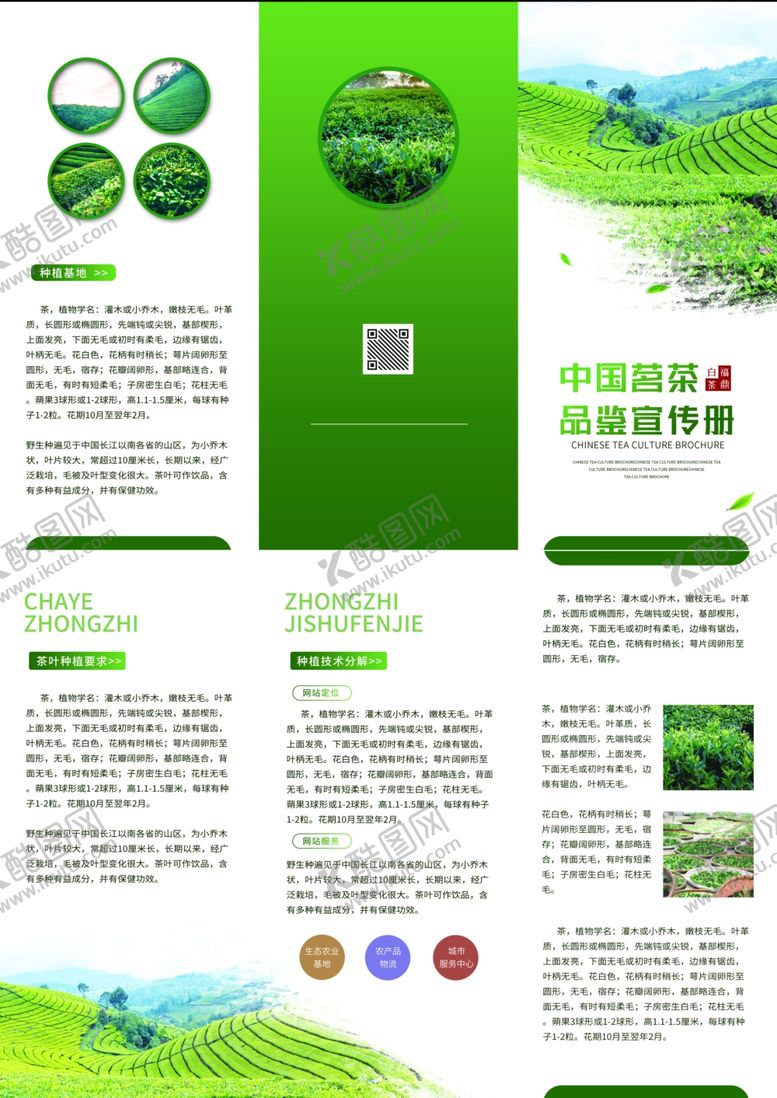 编号：72708402271428143672【酷图网】源文件下载-茶叶三折页