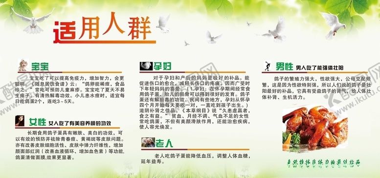 编号：46228807091154569013【酷图网】源文件下载-鸽子肉展板