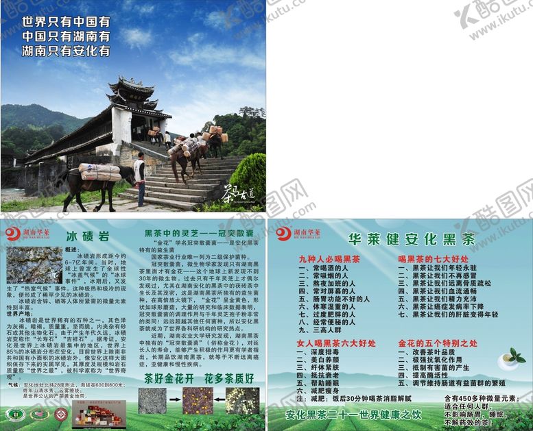 编号：19317812071746027608【酷图网】源文件下载-安化黑茶广告