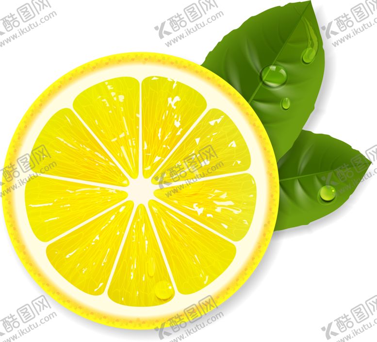 编号：70954301201755115496【酷图网】源文件下载-橙子PNG免抠素材