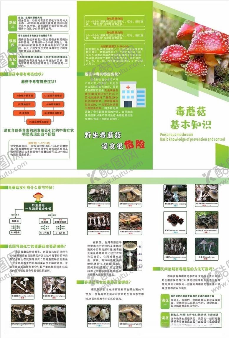 编号：16217206091011369332【酷图网】源文件下载-预防毒蘑菇三折页
