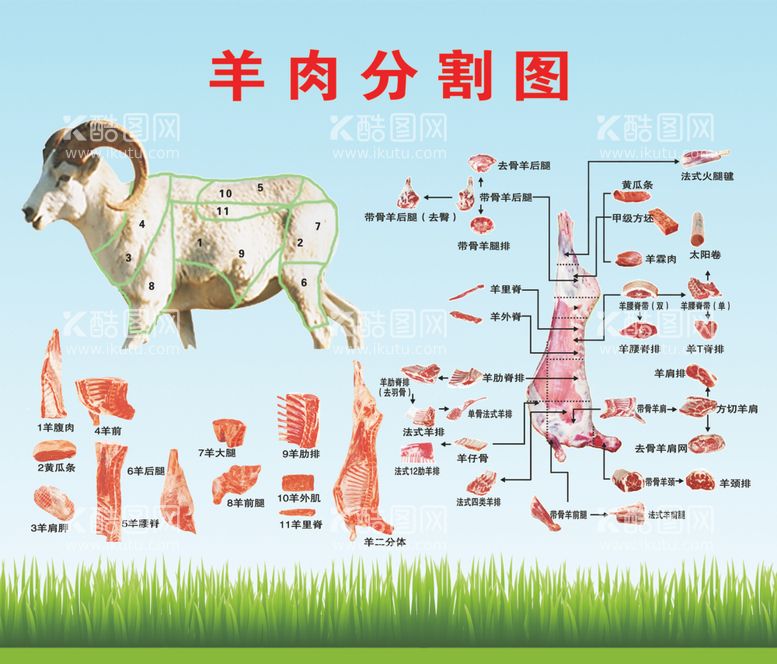 编号：96115412150632383972【酷图网】源文件下载-羊肉