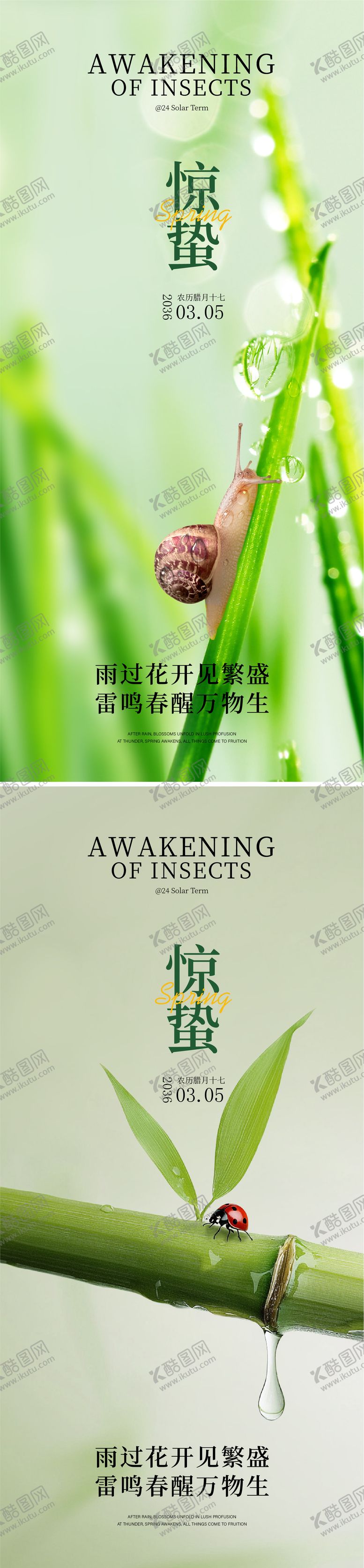 编号：69999202260222553978【酷图网】源文件下载-惊蛰海报
