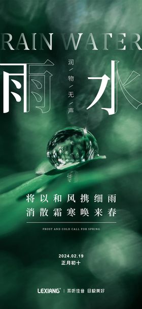 雨水节气海报植物露珠树叶
