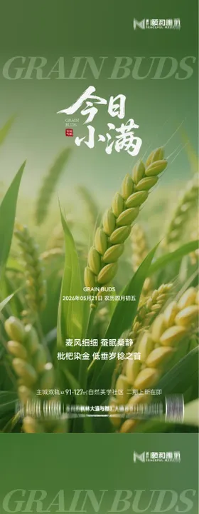 小满麦田二十四节气节日海报2026