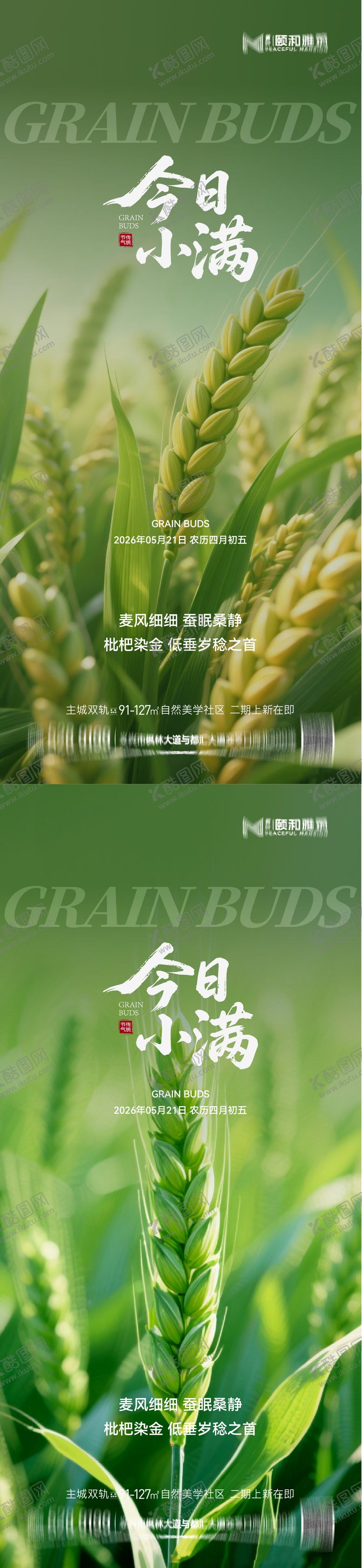 编号：58856205222317251750【酷图网】源文件下载-小满麦田二十四节气节日海报2026