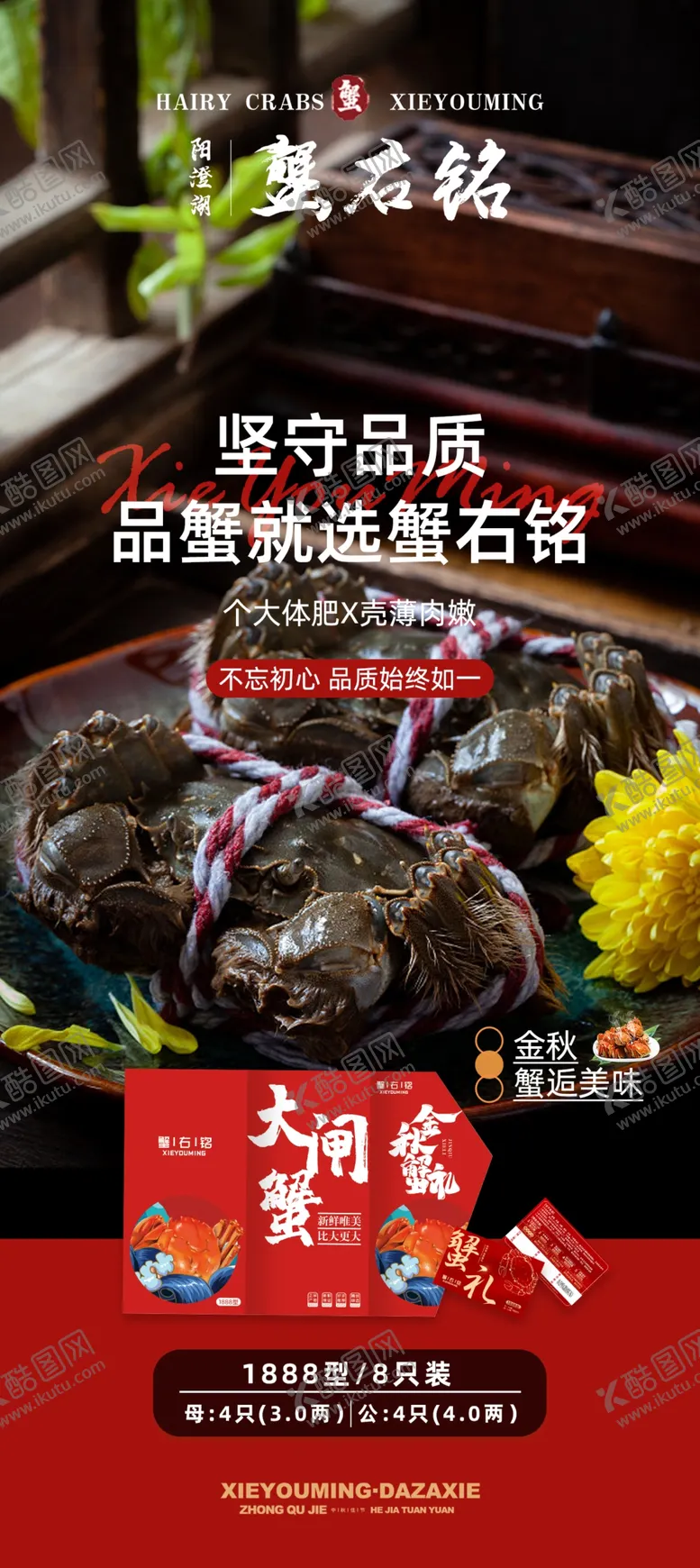 编号：55779601251858201750【酷图网】源文件下载-大闸蟹