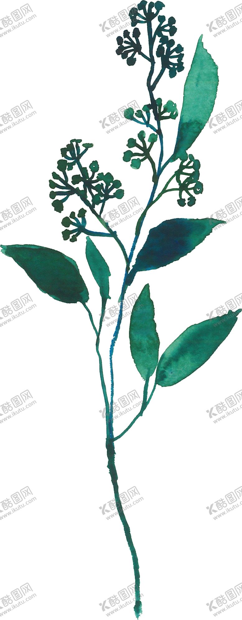 编号：35009810281720078505【酷图网】源文件下载-绿色装饰