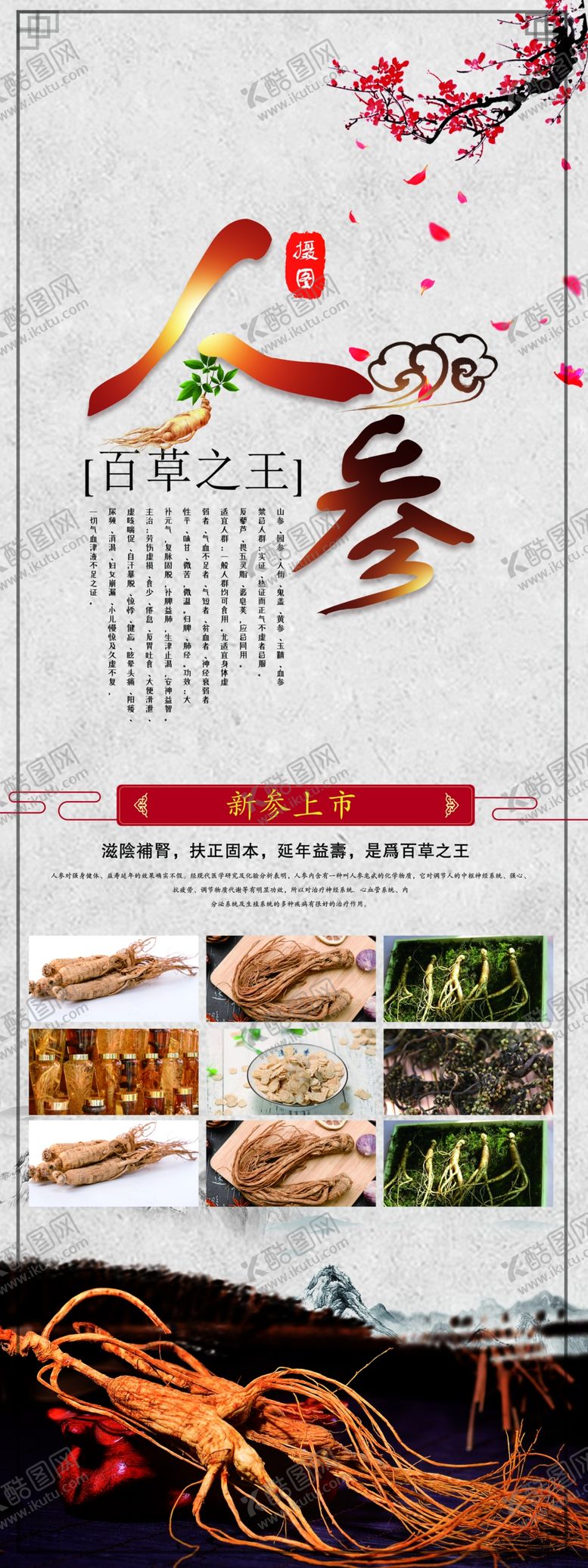 编号：71680310011338054293【酷图网】源文件下载-人参简介