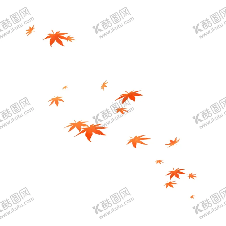 编号：43846206270856424497【酷图网】源文件下载-枫叶