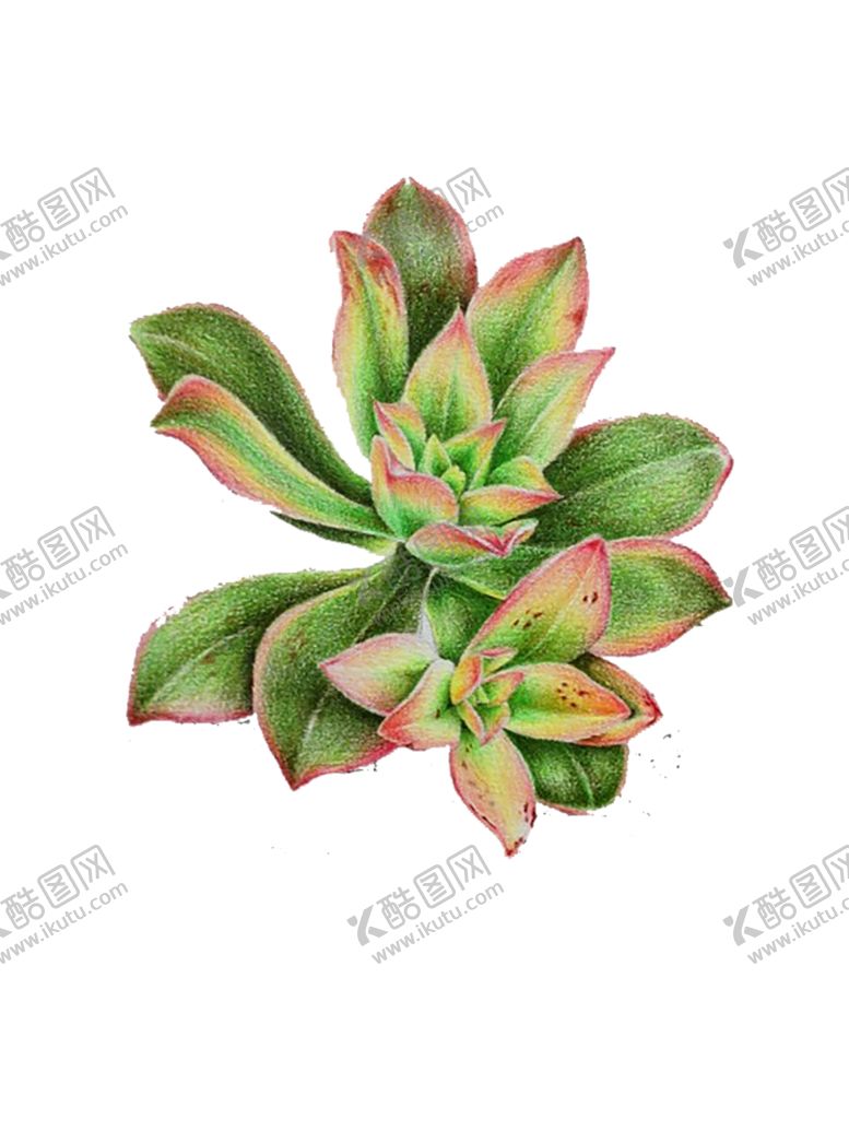 编号：98235010222334287914【酷图网】源文件下载-绿色植物