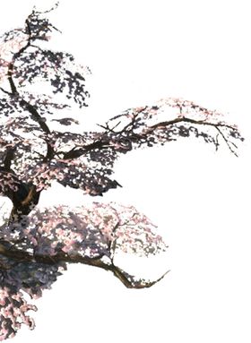 梅花素材
