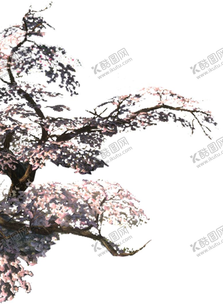 编号：70576504271053575033【酷图网】源文件下载-梅花素材