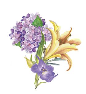 手绘 玫瑰花 绘画 花朵 水彩