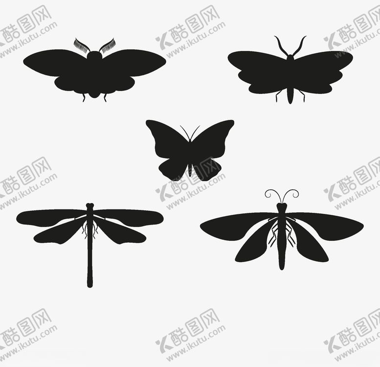 编号：79969509280931049790【酷图网】源文件下载-昆虫剪影