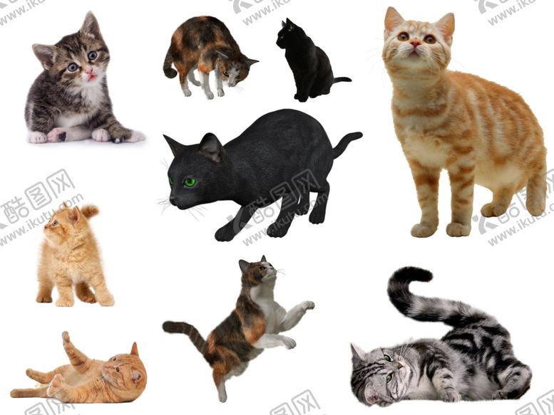 编号：14620609141600366690【酷图网】源文件下载-猫png免扣高清素材