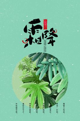霜降