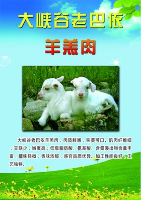 羊羔肉