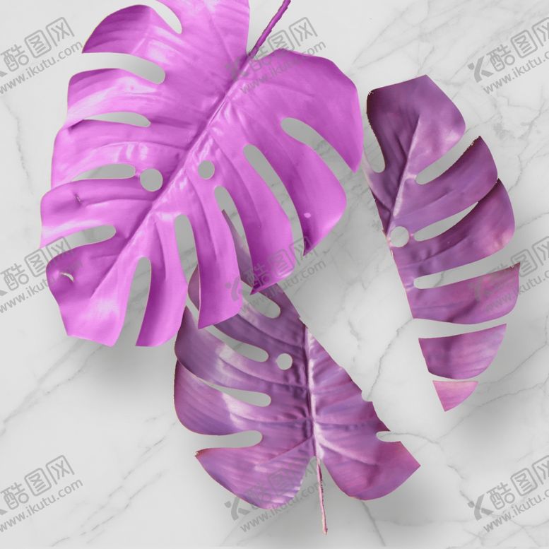 编号：13731909262124472770【酷图网】源文件下载-紫色叶子装饰画