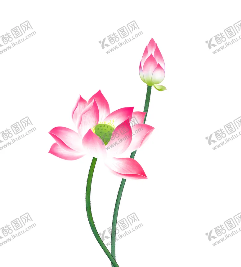 编号：36676905022340001415【酷图网】源文件下载-荷花元素