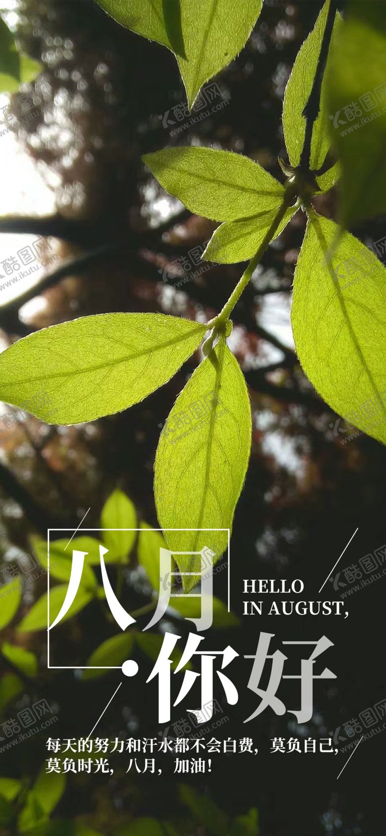 编号：24726006162235358868【酷图网】源文件下载-八月