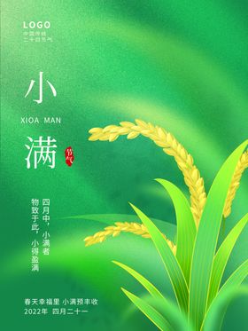 小满金属麦子微信稿节气海报