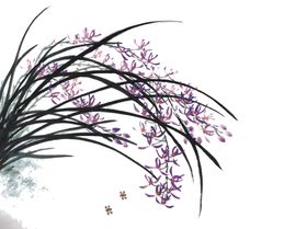 兰花