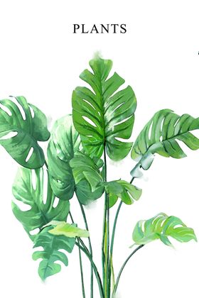 植物装饰画图片