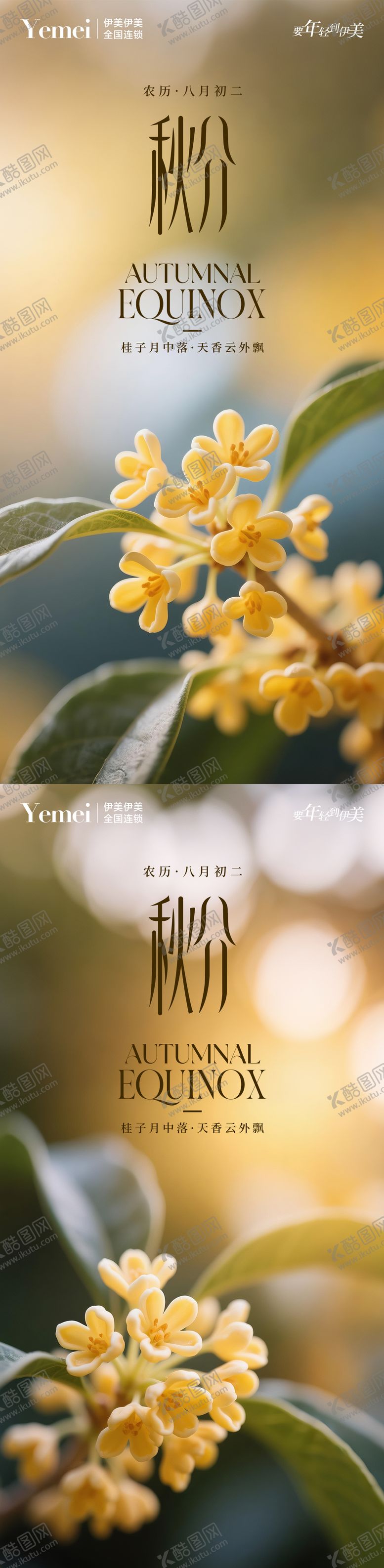 编号：60201309192217323785【酷图网】源文件下载-秋分节气系列海报