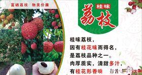 广西桂十味