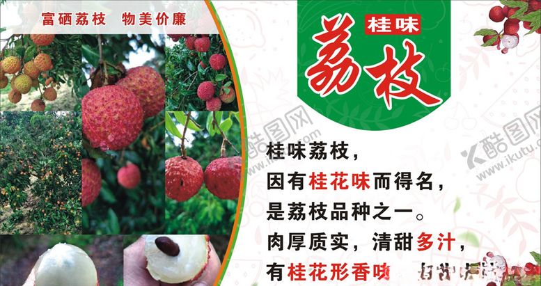 编号：76102210171630269409【酷图网】源文件下载-桂味荔枝海报