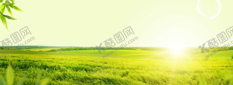 编号：31794610290307273655【酷图网】源文件下载-草地