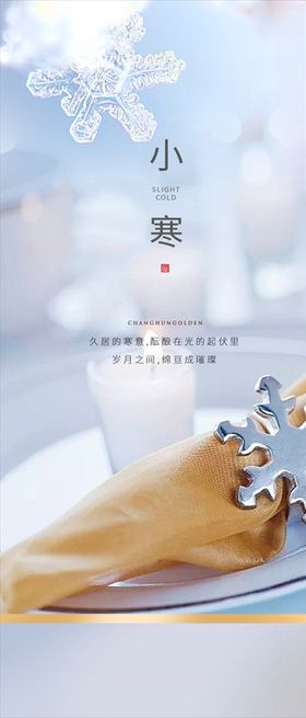 浅色小寒节气海报