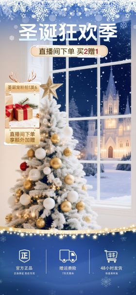 圣诞节直播间蓝色氛围图