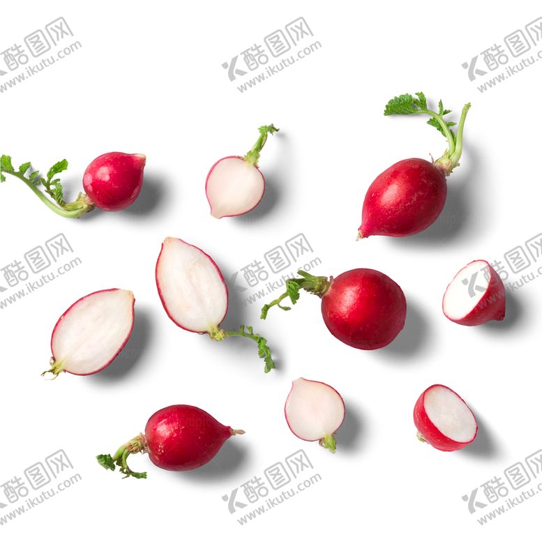 编号：08139209251538475423【酷图网】源文件下载-水果小萝卜