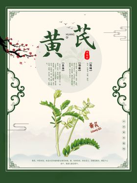 黄芪药材