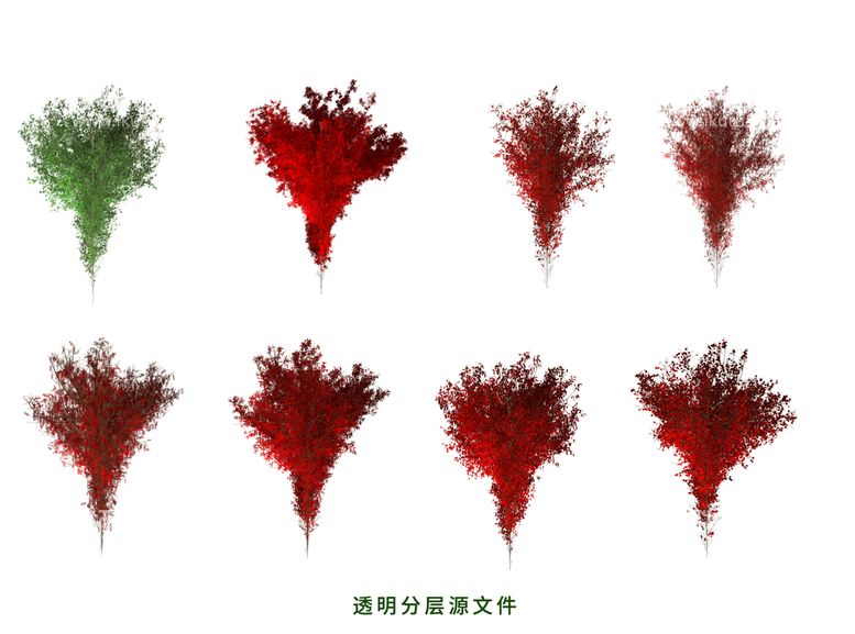 编号：91667211031719585604【酷图网】源文件下载-银杏树