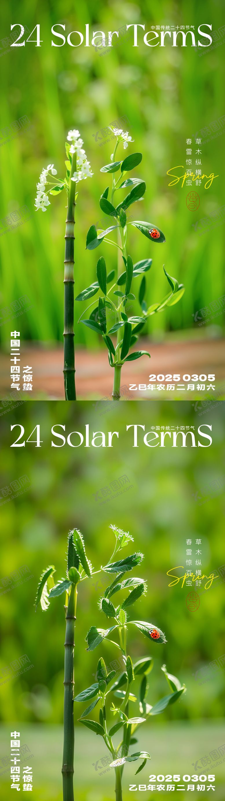编号：21571802192336056694【酷图网】源文件下载-惊蛰创意海报