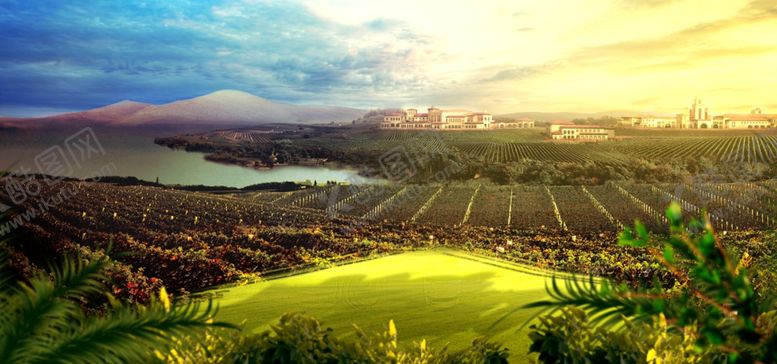 编号：81410209112323253999【酷图网】源文件下载-红酒庄园