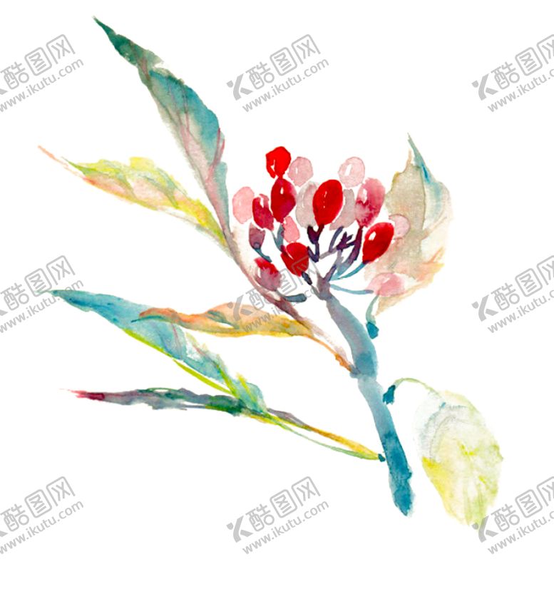 编号：68239807080809447016【酷图网】源文件下载-手绘枸杞子