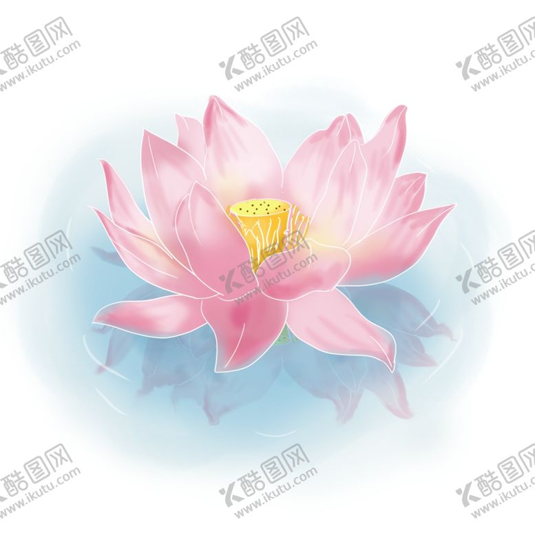编号：50131101251537331140【酷图网】源文件下载-荷花素材