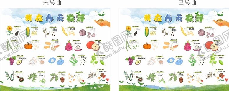 编号：63095906300307385136【酷图网】源文件下载-各种植物种子种子图鉴展板