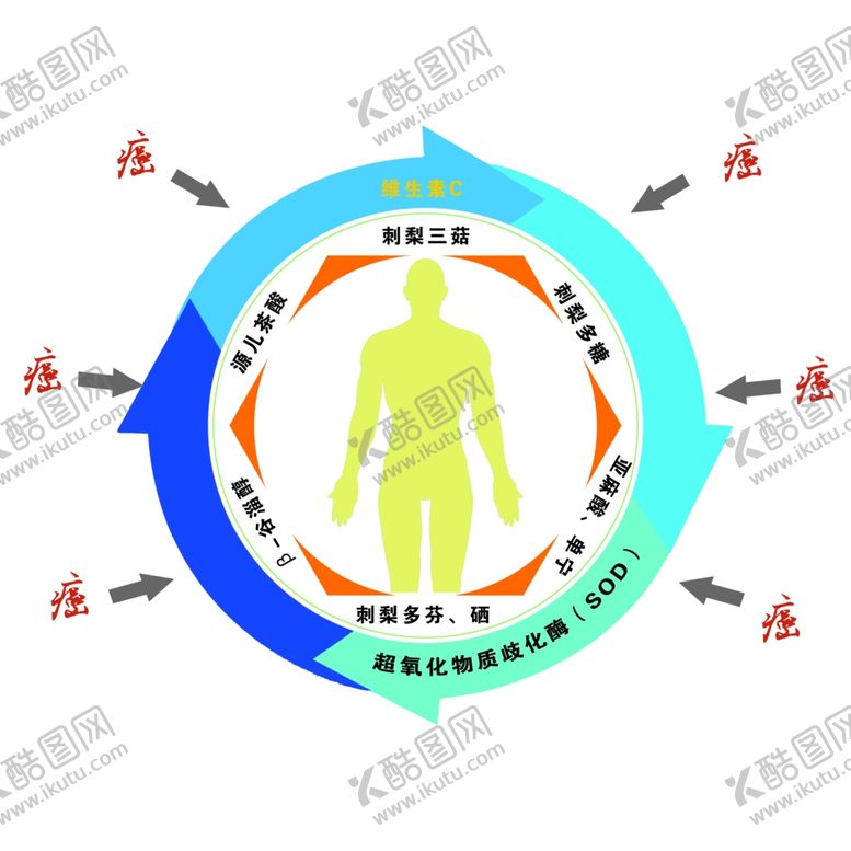 编号：31698005160536078425【酷图网】源文件下载-防癌示意图