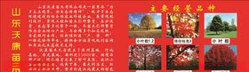 苗木喷绘