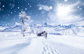 雪地