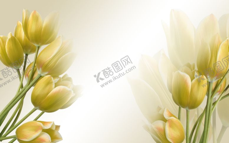 编号：72835309090505482170【酷图网】源文件下载-花卉背景墙