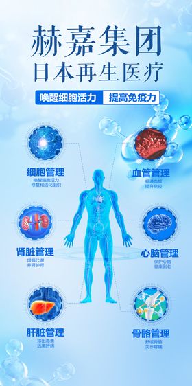 大健康人体海报