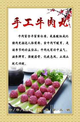 手工牛肉丸火锅食材丸子