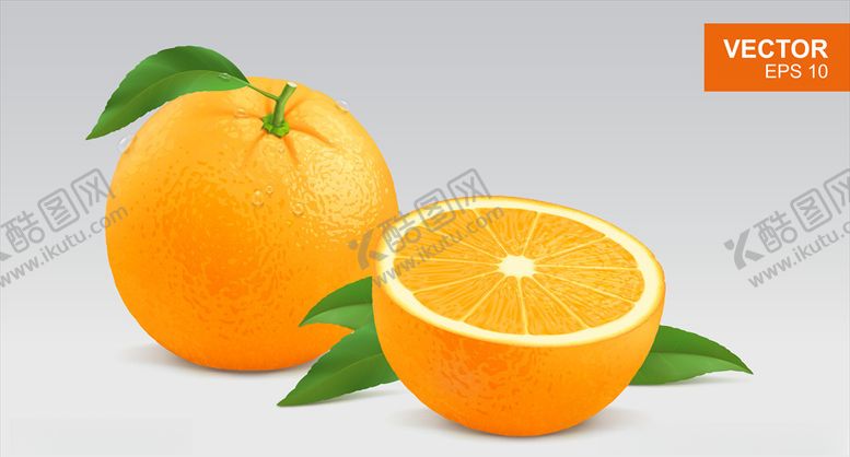 编号：63677310011602082649【酷图网】源文件下载-橙子